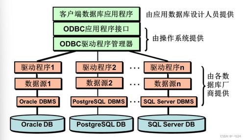电子科技大学《数据库系统》期末汇总 概念、习题与代码全解析