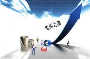 从运营专家到教育引路人 图零科技白杨的网络技术教育之路